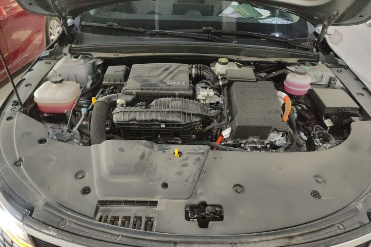 比亚迪 驱逐舰05 2024款 荣耀版 DM-i 55KM 豪华型机舱底盘24