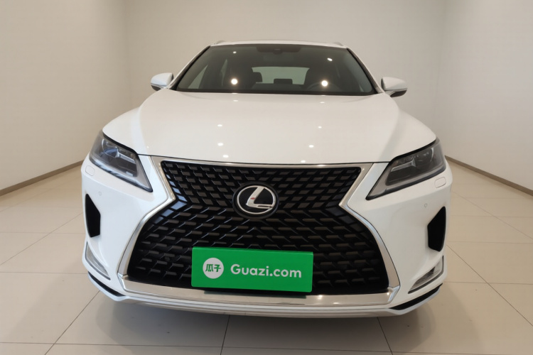 雷克萨斯RX 2020款 改款 300 两驱精英版车身外观2