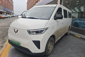 五菱汽车 五菱扬光 2024款 300KM 舒适型客车版 75kW