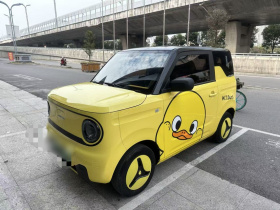 吉利银河 2023款 熊猫mini 200km 小黄鸭限定版 幸运吖