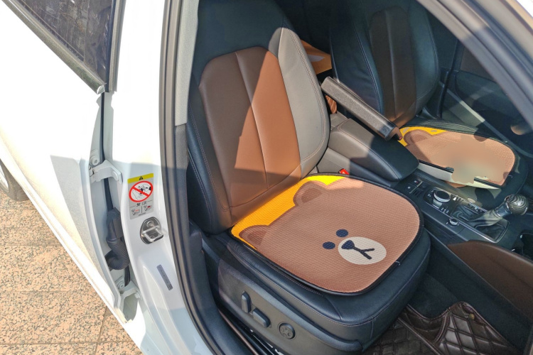 奥迪A3 2020款 Sportback 35 TFSI 风尚型 国VI局部细节41