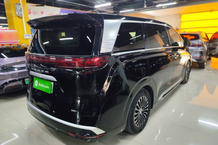 腾势D9 2024款 DM-i 1050 尊享型车身外观6005