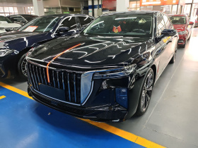 红旗H9 2024款 2.0T 旗畅 私享风尚版