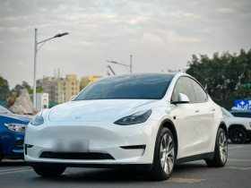 特斯拉 Model Y 2021款 标准续航后驱版