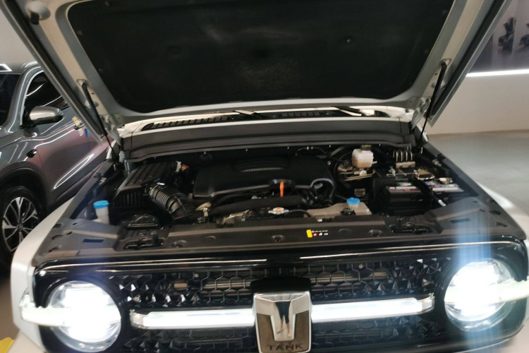 超境汽车 共创坦克300 2021款 2.0T 赛博坦克局部细节24
