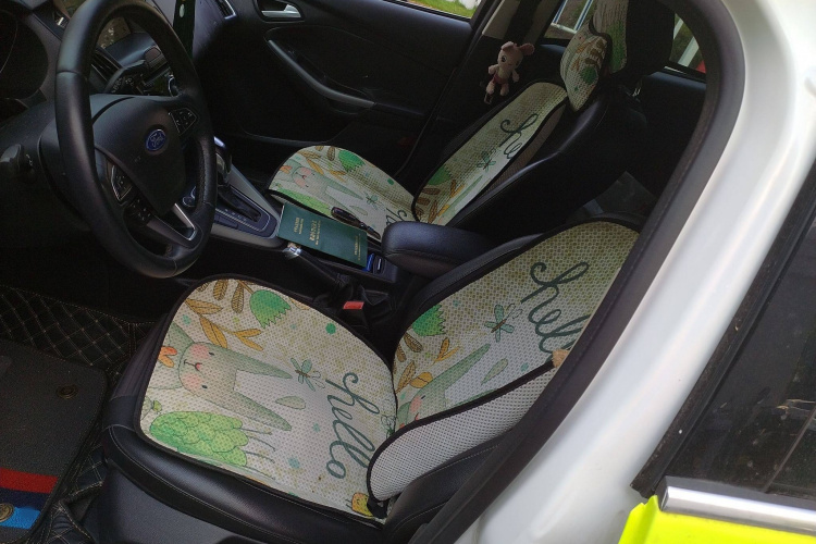 福特 福克斯 2017款 两厢 EcoBoost 180 自动运动型局部细节19