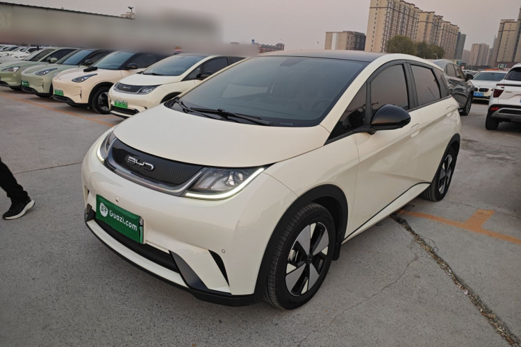 比亚迪 海豚 2023款 420km 时尚版车身外观1