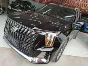 广汽传祺 传祺GS8 2022款 双擎系列 2.0TM 四驱尊贵版 （七座）