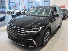 大众 途观L新能源 2023款 430PHEV 插电混动尊贵版