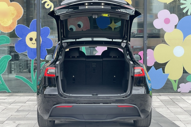 特斯拉 Model Y 2022款 后轮驱动版车身外观6008