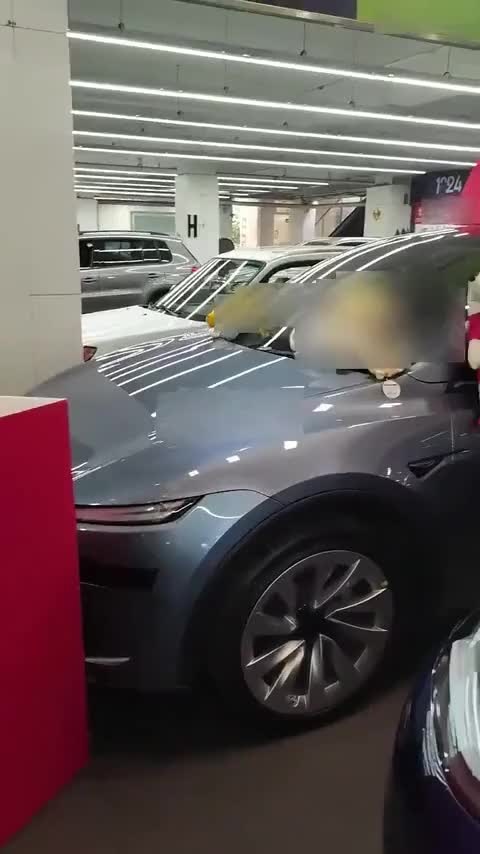 特斯拉 Model Y 2025款 长续航全轮驱动版讲解1