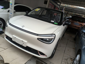 东风纳米 纳米01 2026款 初心款 330Air