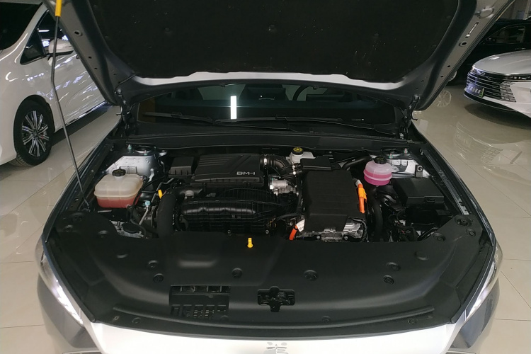 比亚迪 秦PLUS 2024款 荣耀版 DM-i 55KM领先型局部细节24