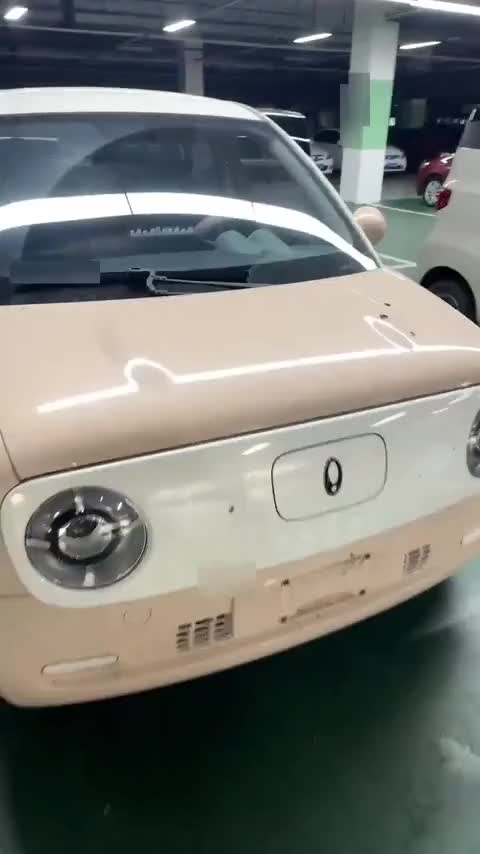 欧拉黑猫 2022款 301km 萌宠版 磷酸铁锂讲解1