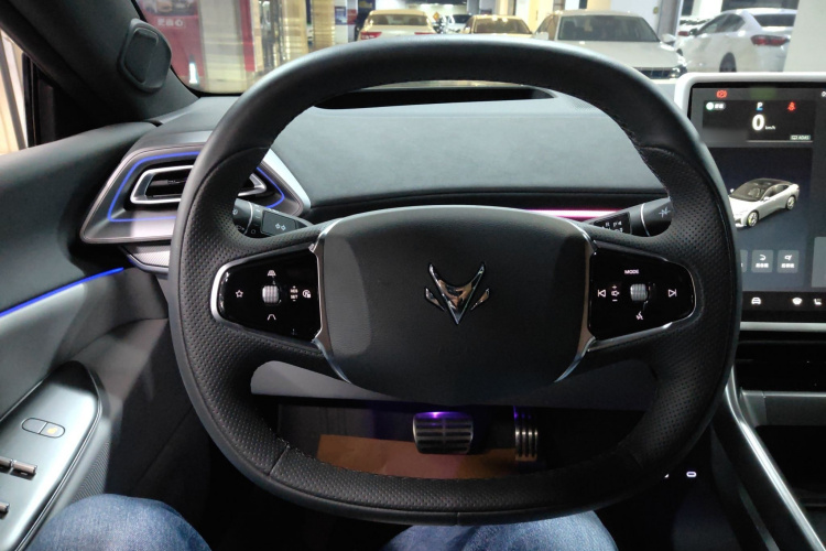 ARCFOX极狐 极狐 阿尔法S5 2024款 708MAX 200kW中控内饰13