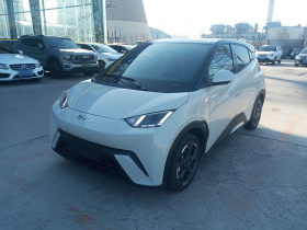 比亚迪 海鸥 2024款 荣耀版 305km 自由版