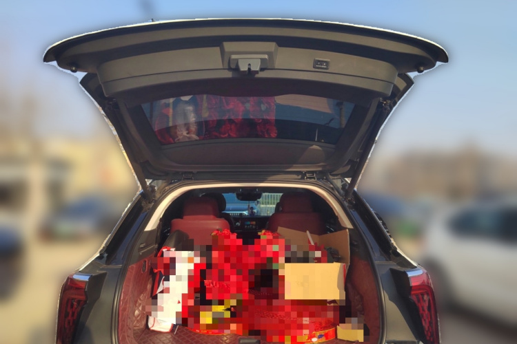 红旗E-HS9 2021款 460km 旗享版 六座中控内饰23