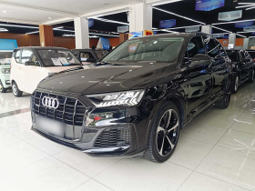 奥迪Q7 2023款 55 TFSI quattro S line运动型