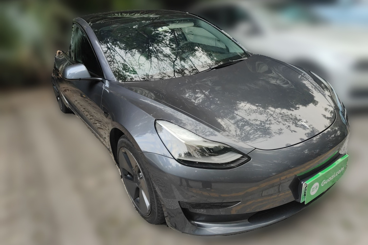 特斯拉 Model 3 2021款 标准续航后驱升级版车身外观6002