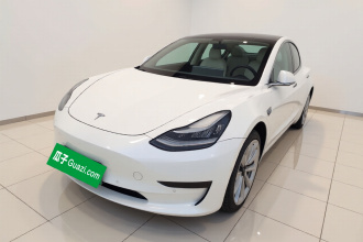 特斯拉 Model 3 2019款 标准续航后驱升级版