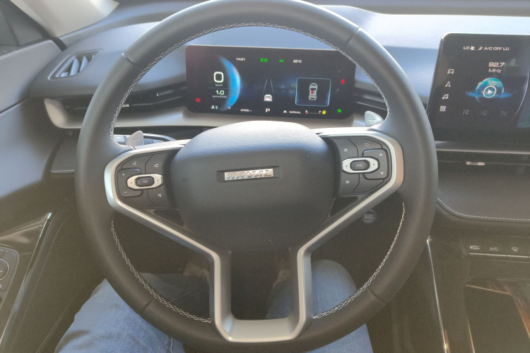 哈弗H6 2024款 1.5T 两驱经典版中控内饰13