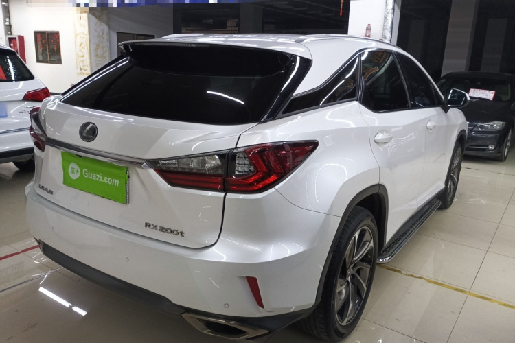 雷克萨斯RX 2016款 300 四驱典雅版 国V车身外观6005