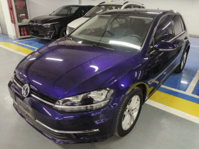 大众 高尔夫 2019款 1.6L 自动舒适型 国V