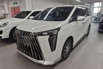 广汽传祺 传祺E9 2024款 E9 冠军版