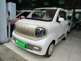 奔腾小马 2026款 222km 闪耀马