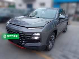 捷途大圣 2024款 1.6T DCT 王者