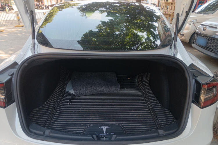 特斯拉 Model 3(进口) 2019款 标准续航后驱升级版(60度)局部细节23