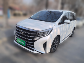 广汽传祺 传祺M8 2021款 领秀系列 390T 尊享版