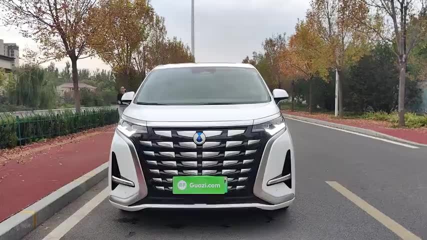 腾势D9 2022款 DM-i 1040 尊贵型实拍1