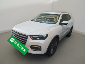 哈弗H6 2020款 1.5GDIT 自动铂金冠军版
