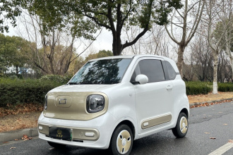 奔腾小马 2025款 222km 玲珑马