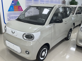 五菱汽车 宏光MINIEV 2024款 第三代 215km 青春版