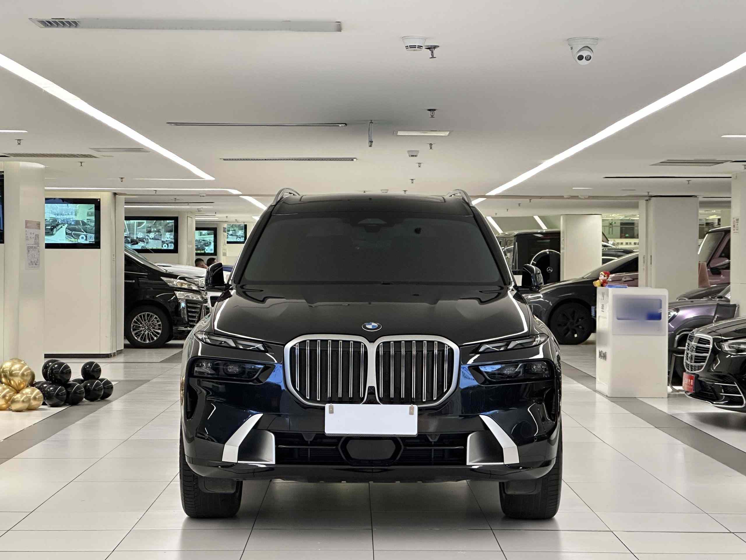 宝马X7 2024款 xDrive40i 领先型豪华套装(2)