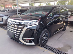 腾势D9 2024款 DM-i 980 四驱旗舰型