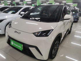 比亚迪 海鸥 2025款 405km 飞翔版