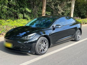 特斯拉 Model 3 2022款 后轮驱动版