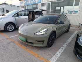 特斯拉 Model 3 2022款 后轮驱动版