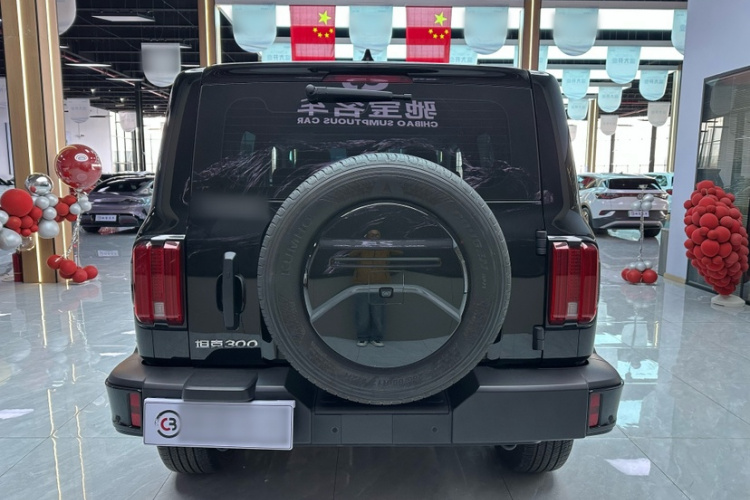 坦克300 2024款 2.0T 征服者车身外观6004