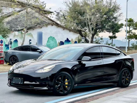 特斯拉 Model 3 2021款 标准续航后驱升级版 3D6