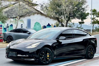 特斯拉 Model 3 2021款 标准续航后驱升级版 3D6
