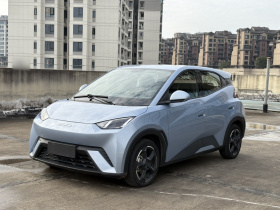 比亚迪 海鸥 2024款 荣耀版 405km 飞翔版