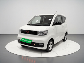 五菱汽车 宏光MINIEV 2020款 自在款 磷酸铁锂