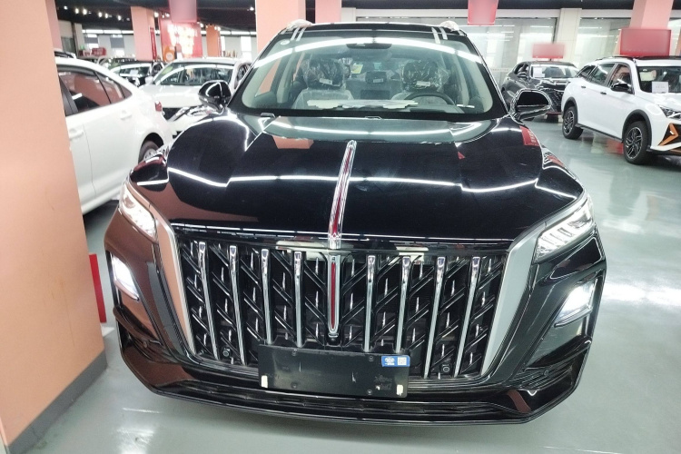 红旗HS5 2023款 2.0T 四驱旗享Pro版车身外观2