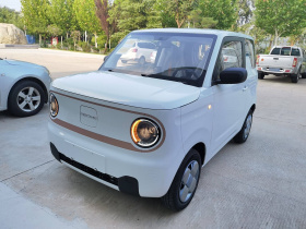 吉利汽车 2024款 熊猫mini 200km 耐力熊