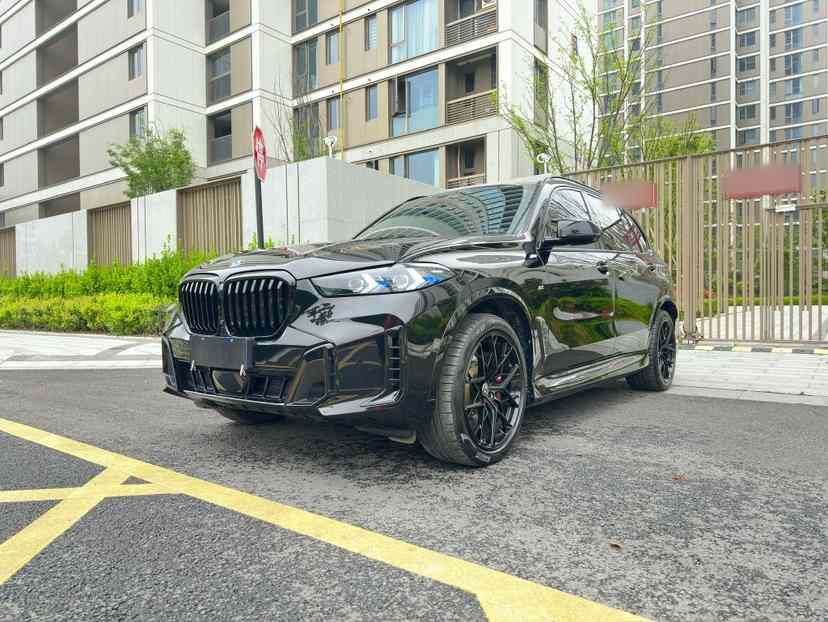 宝马X5 2023款 xDrive 40Li M运动套装(1)