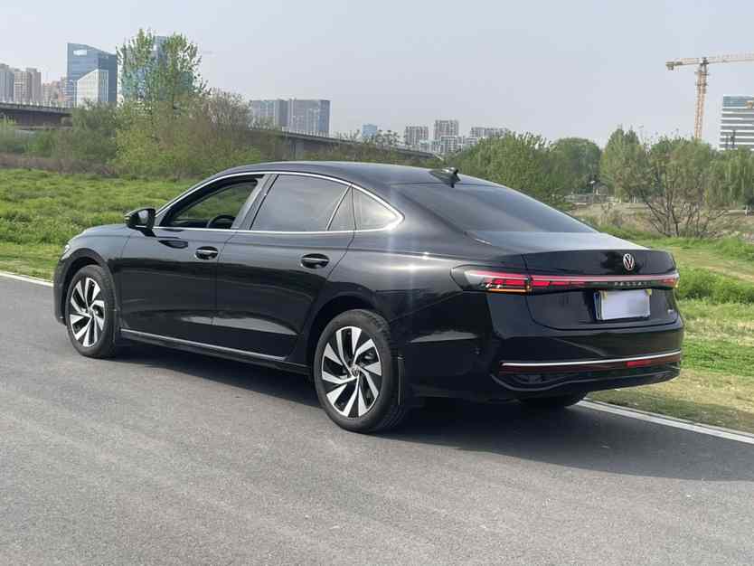 大众 帕萨特 2025款 Pro 380TSI 龙运版(5)